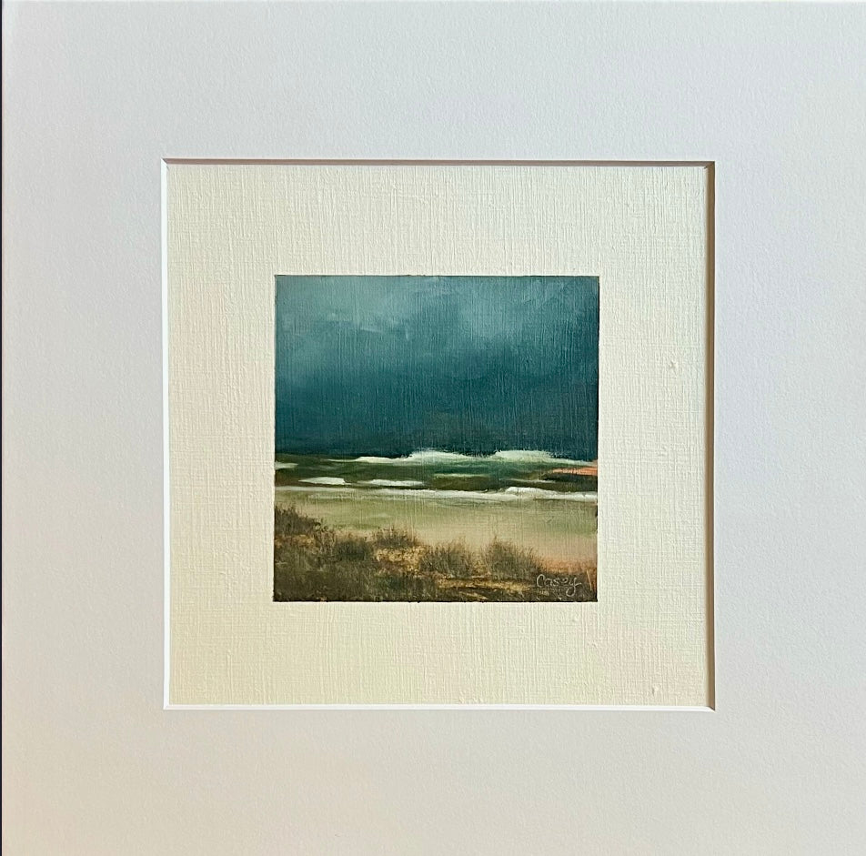 Storm at the beach
